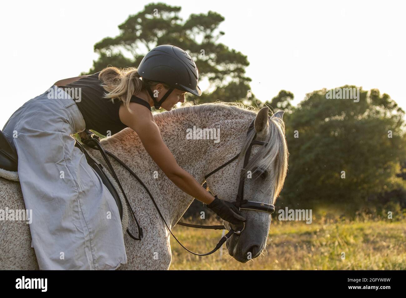 Cavallo lusitano, mare bianco, cavaliere femminile, all'aperto sul pascolo. Foto Stock