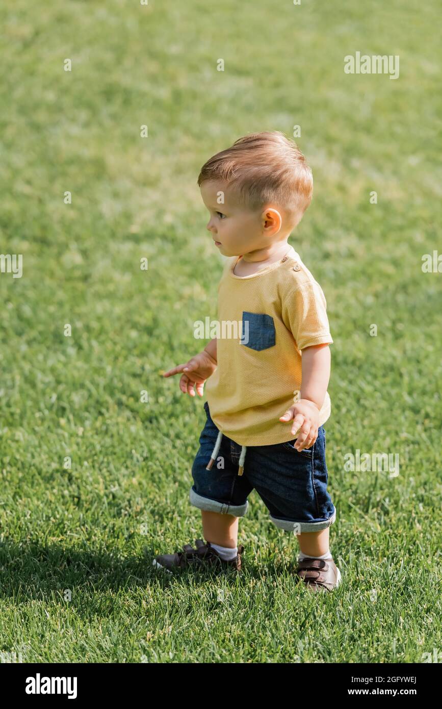 l'intera lunghezza del ragazzo del toddler in piedi sull'erba verde Foto Stock
