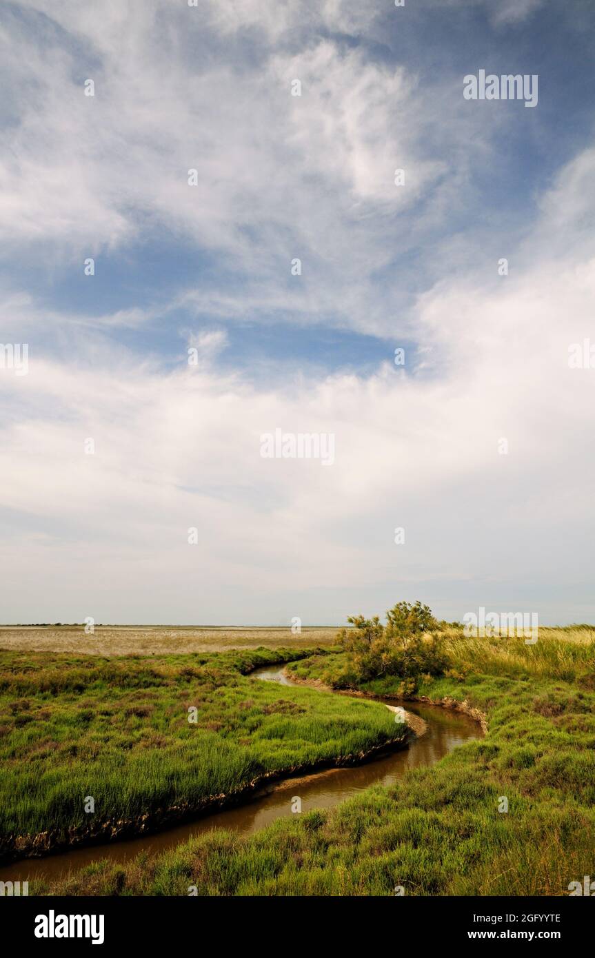 Piccolo fiume lungo Digue a la Mer, Camargue, Francia Foto Stock