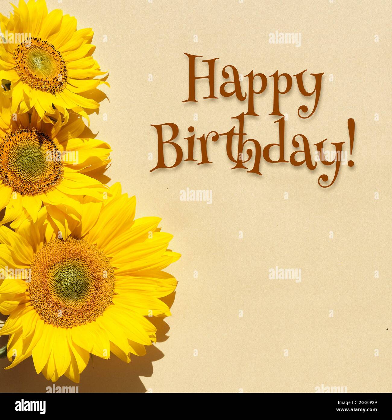 Buon compleanno, testo con girasoli su piatto quadrato. Beige, sfondo in carta giallo, vista dall'alto. Semplice disposizione minima, composizione quadrata. Foto Stock