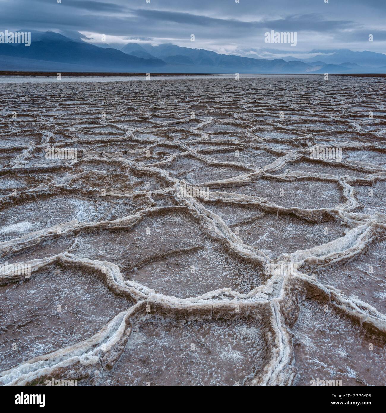 Precipitazioni, saline, il Parco Nazionale della Valle della Morte, California Foto Stock