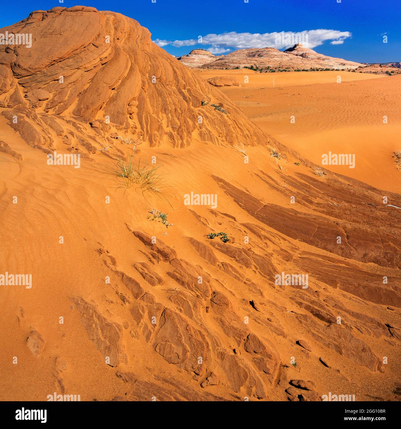 Dune di sabbia, Grand Staircase-Escalante National Monument, Utah Foto Stock