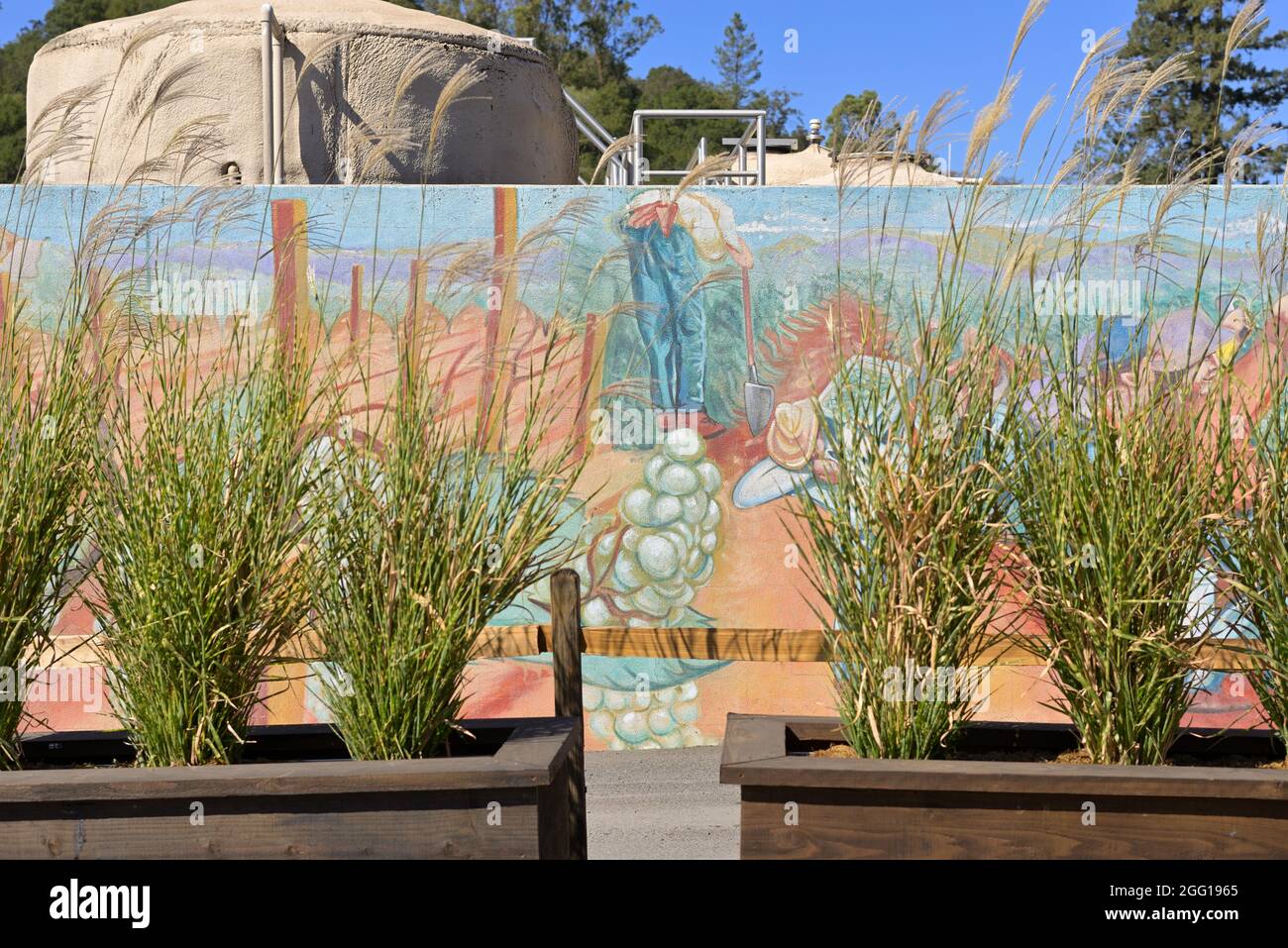 La Gundlach Bundschu Winery, la più antica azienda vinicola della California a conduzione familiare (1858), Sonoma CA Foto Stock