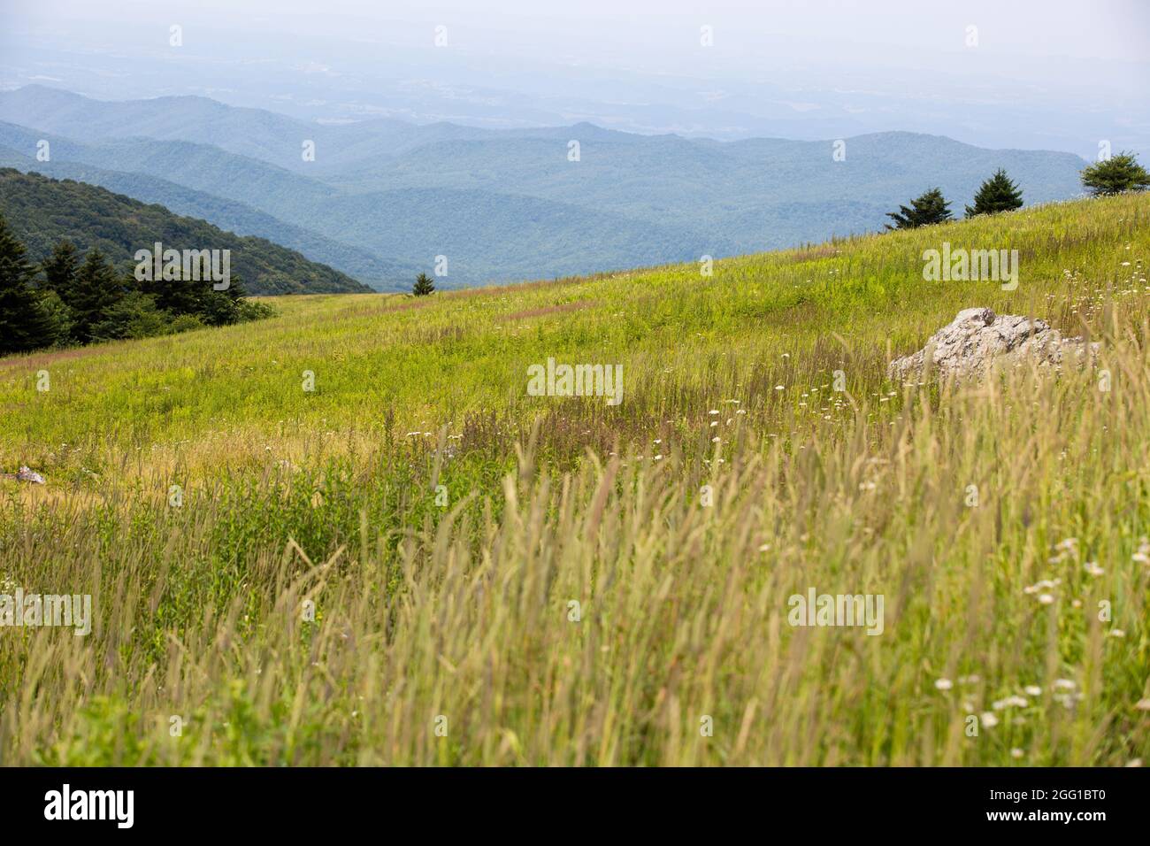 Vista dal monte Whitetop nelle Appalachian Mountains in Virginia Foto Stock