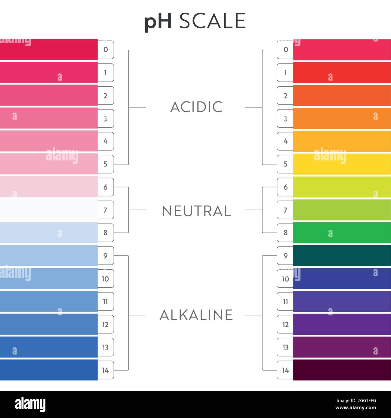 Tabella della scala dei valori di pH. Infografica sull'equilibrio  acido-base. Poster per l'istruzione Immagine e Vettoriale - Alamy