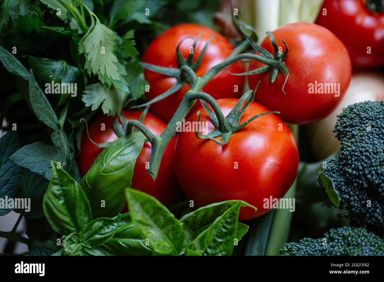 Pomodori, broccoli, cipolle verdi e basilico da vicino Foto Stock