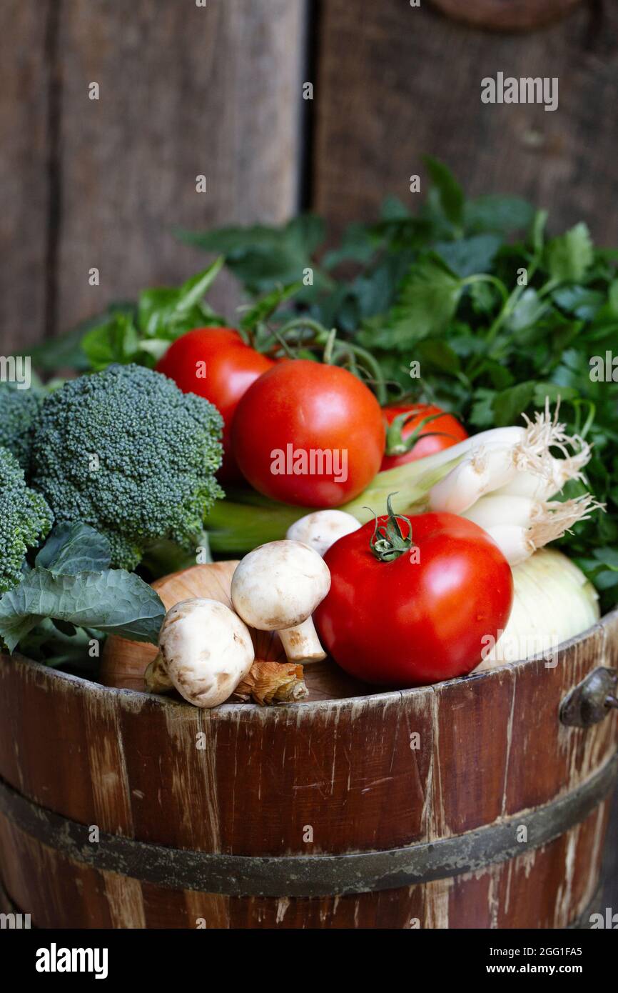 Pomodori raccolti a mano, broccoli, cipolle verdi, prezzemolo in un secchio rustico Foto Stock