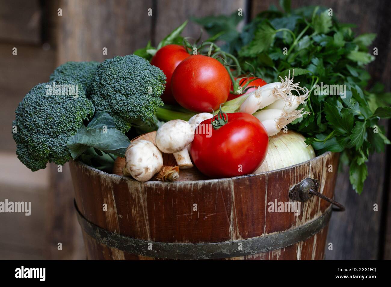 Pomodori raccolti a mano, broccoli, cipolle verdi, prezzemolo in un secchio rustico Foto Stock
