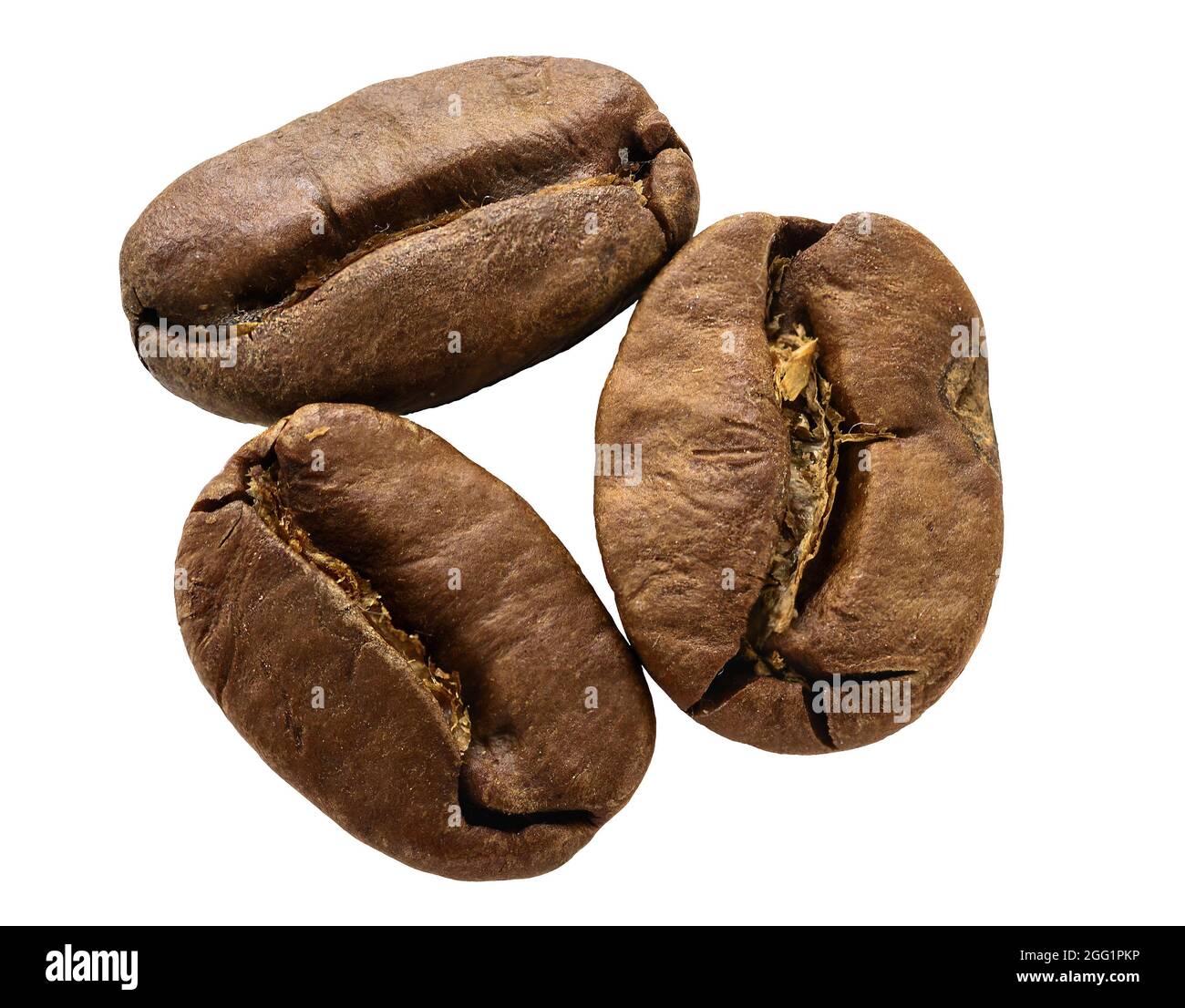 Caffè macinato macinato su bianco Foto Stock