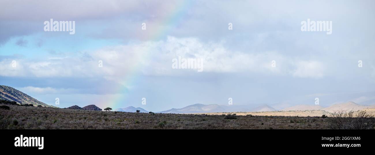 Steytlerville, comune del distretto di Sarah Baartman. Capo orientale. Sudafrica Foto Stock