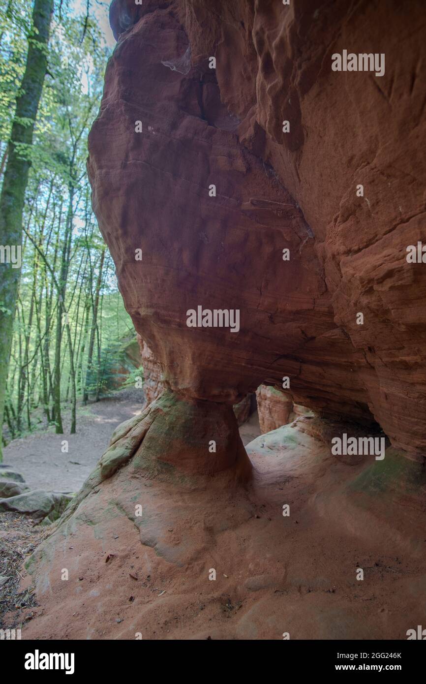Rockformation di Altschlossfelsen di arenaria rossa nella foresta vicino a Eppenbrunn, Germania Foto Stock