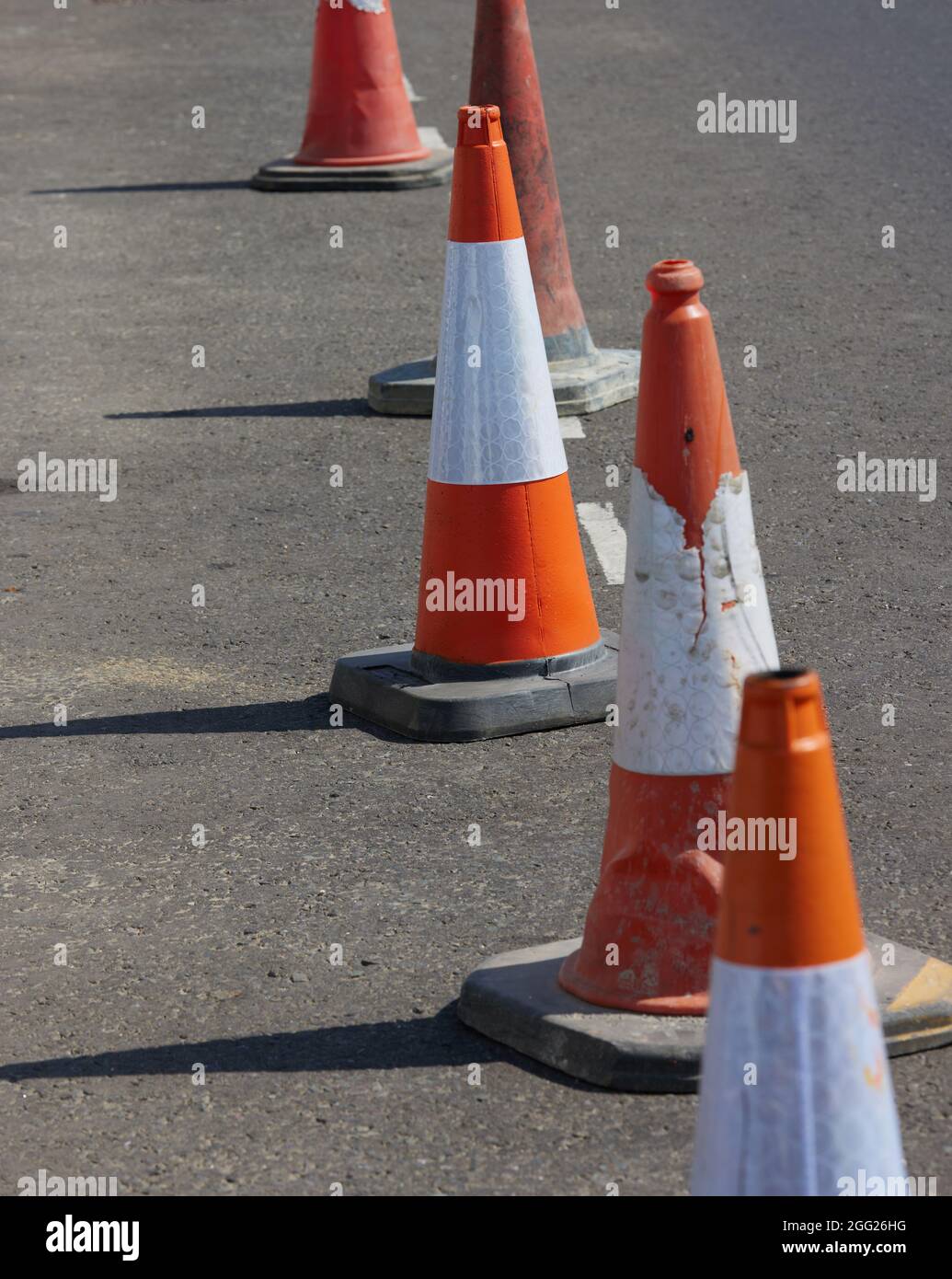 Coni visto su una strada nel Regno Unito. Foto Stock