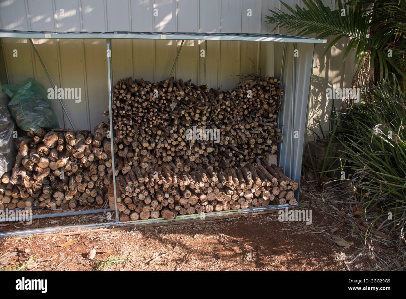 Capannone di deposito con pile di legna da ardere, tronchi, condito e pronto per l'uso in stufa a legna. Inverno, giardino nel Queensland, Australia. Foto Stock