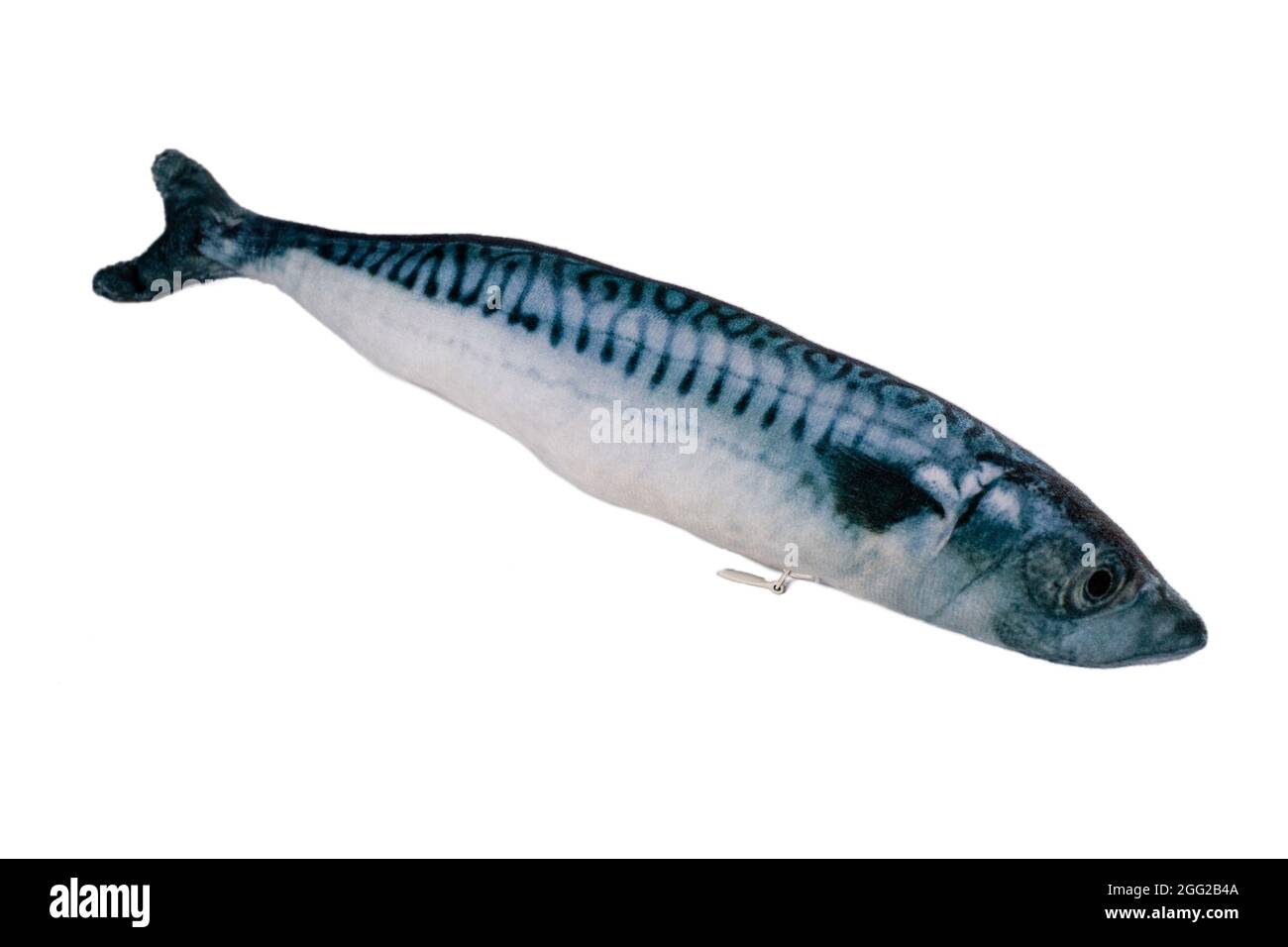 Pesce giocattolo gatto isolato su sfondo bianco. Il pesce artificiale per gatti. Peluche in cotone e peluche corte, giocattolo interattivo per gatti con menta gatto. Foto Stock