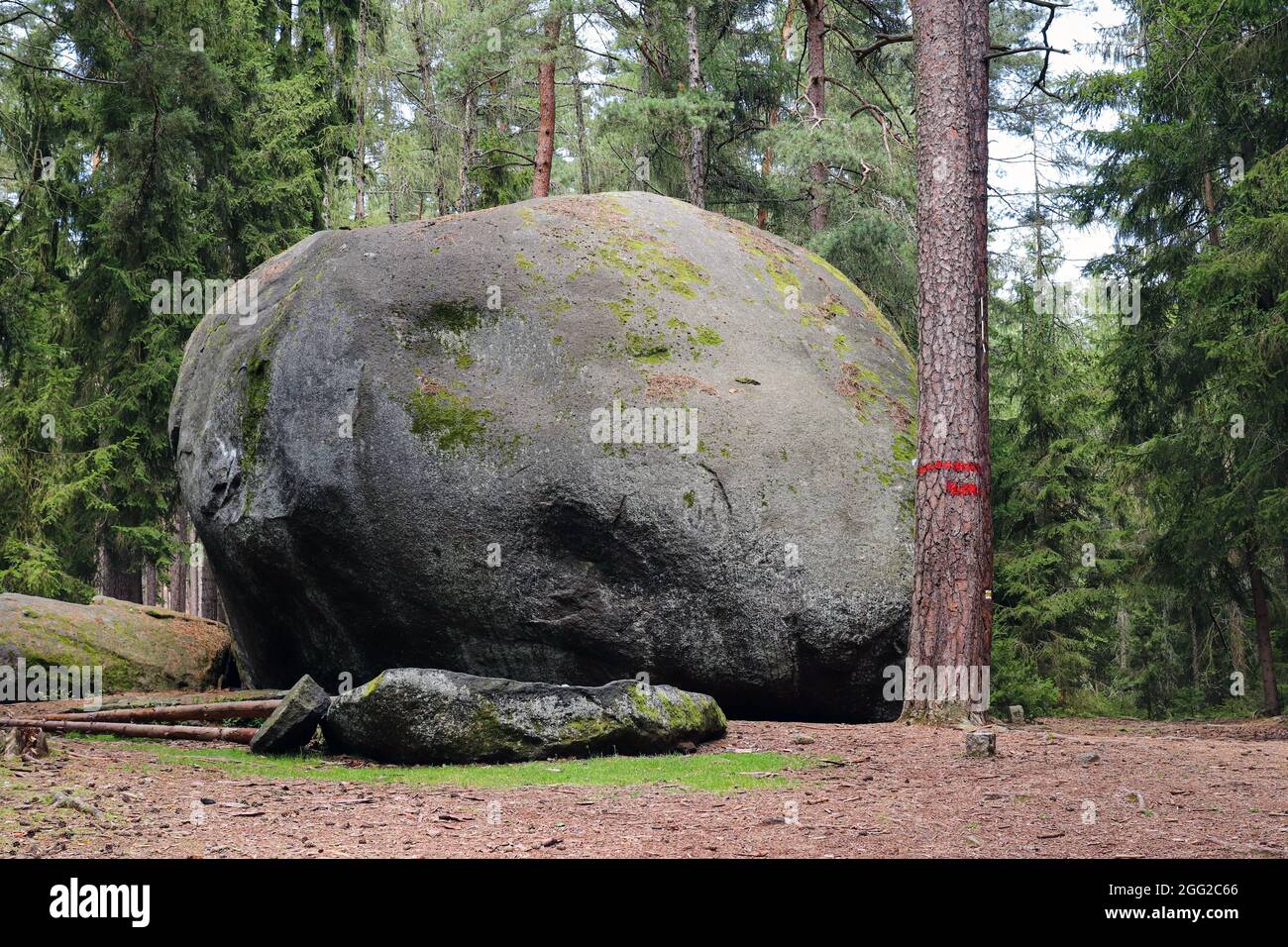 Enorme masso di granito chiamato Old Bloke, monumento naturale nella Repubblica Ceca Foto Stock
