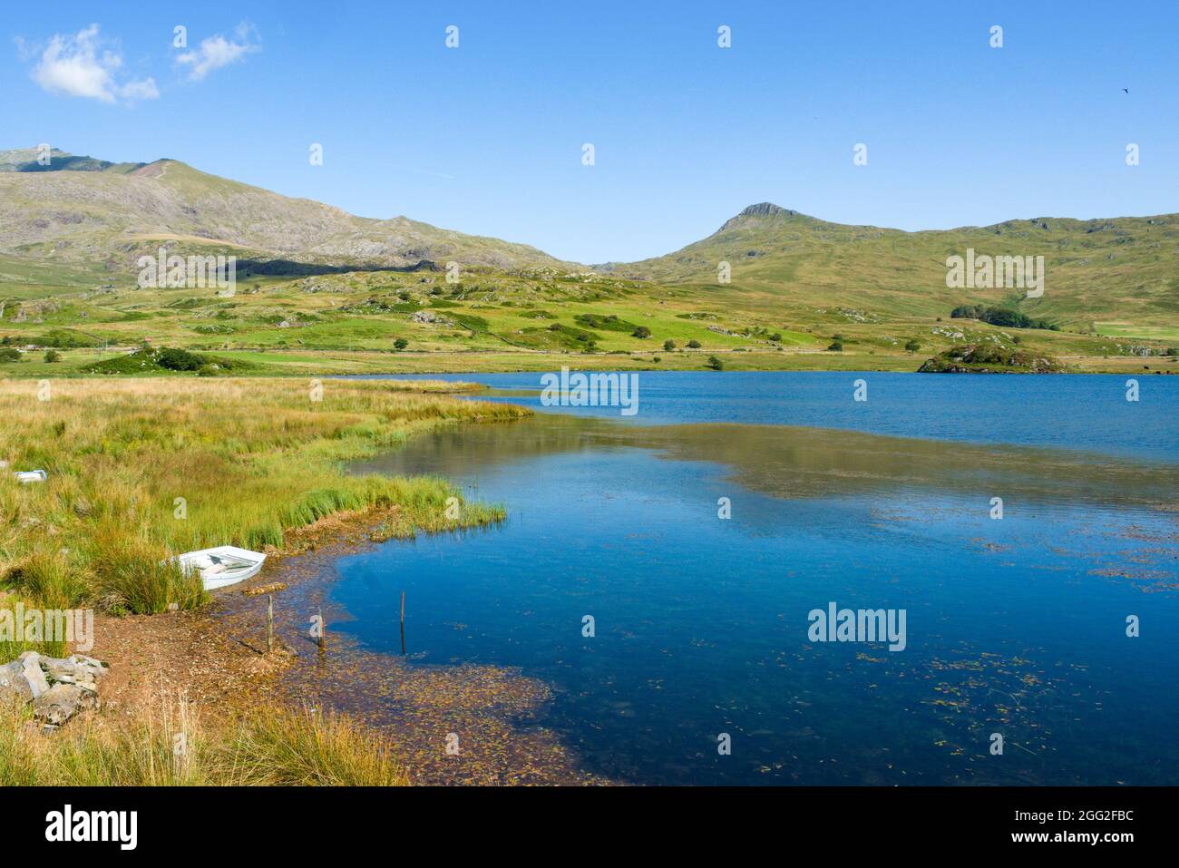 Snowdonia, Galles, Llyn y Gader. Bellissimo lago vicino alla foresta Beddgelert. Scena di montagna tranquilla in una giornata estiva soleggiata. Scatto con aspetto orizzontale. Copia spac Foto Stock