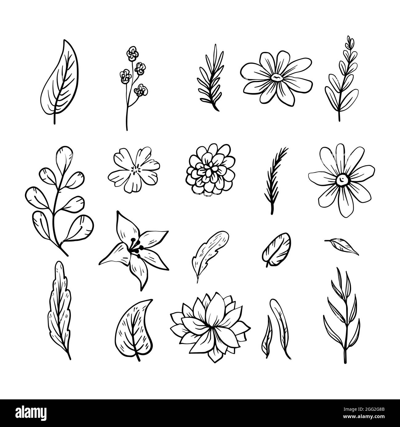 Set di fiori disegnati a mano illustrazione vettoriale. Illustrazione Vettoriale