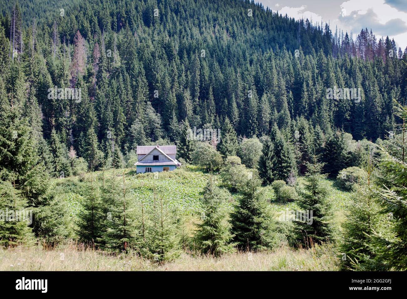 Vecchia casa di villaggio abbandonata circondata da una foresta verde nelle montagne dei Carpazi, Burkut, Ucraina Foto Stock