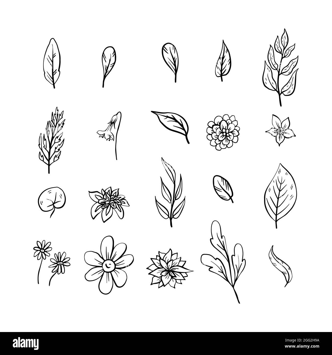 Set di fiori disegnati a mano illustrazione vettoriale. Illustrazione Vettoriale