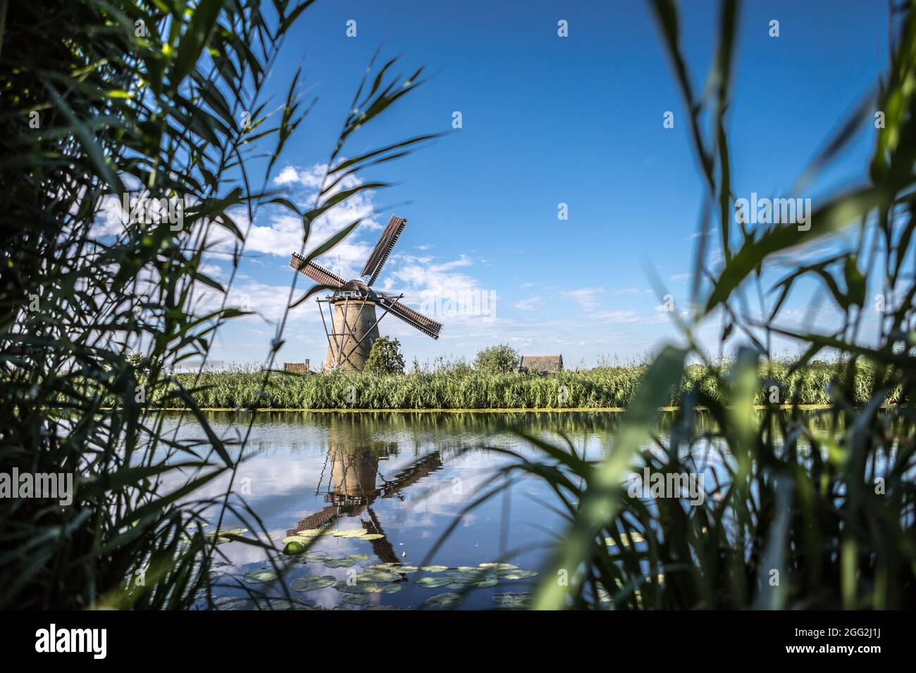 Mulini olandesi vicino all'acqua in una giornata nuvolosa Foto Stock