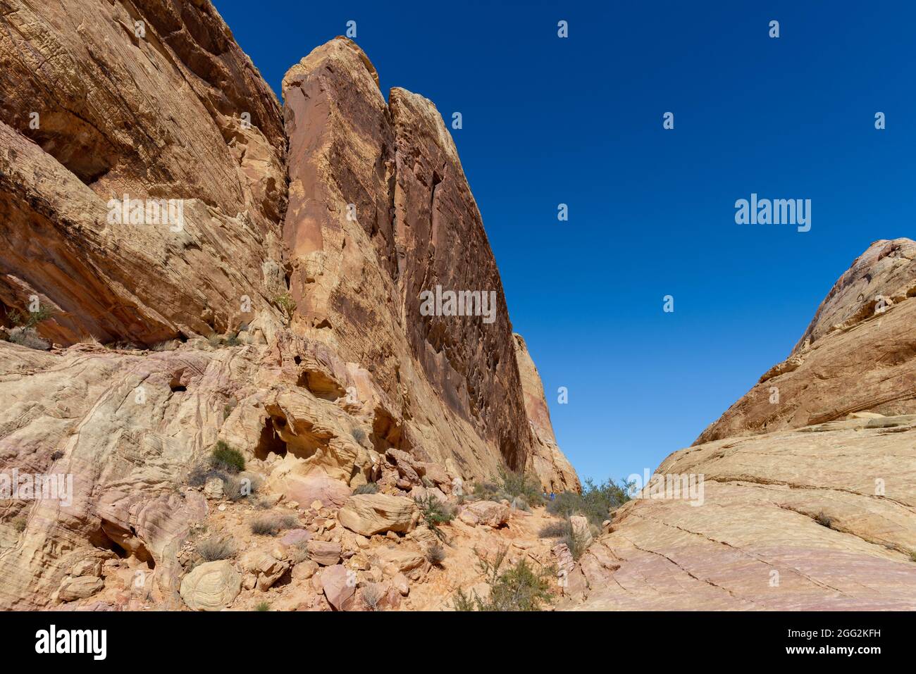Formazioni di roccia della Valle di Fire State Park, Nevada USA Foto Stock