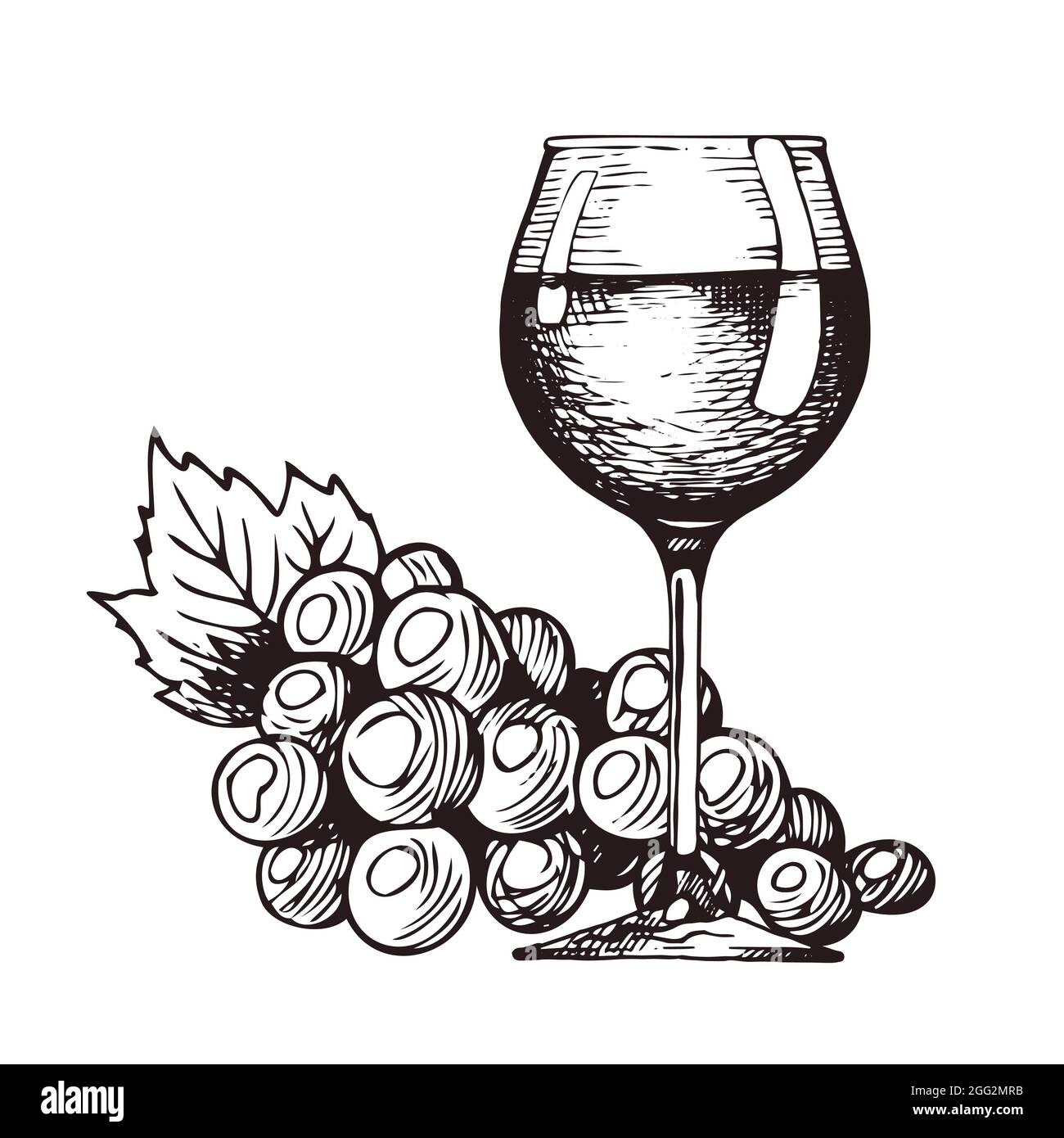 Bicchiere da vino disegnato a mano, mazzo di uve, disegno vettoriale  Immagine e Vettoriale - Alamy