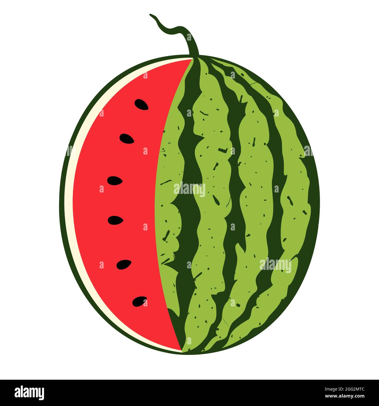 Cocomero succoso. Illustrazione della frutta estiva isolato su sfondo bianco. Illustrazione Vettoriale