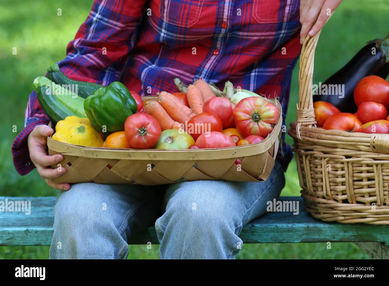 Un raccolto colorato e sano di verdure scelte da un giardino cortile Foto Stock