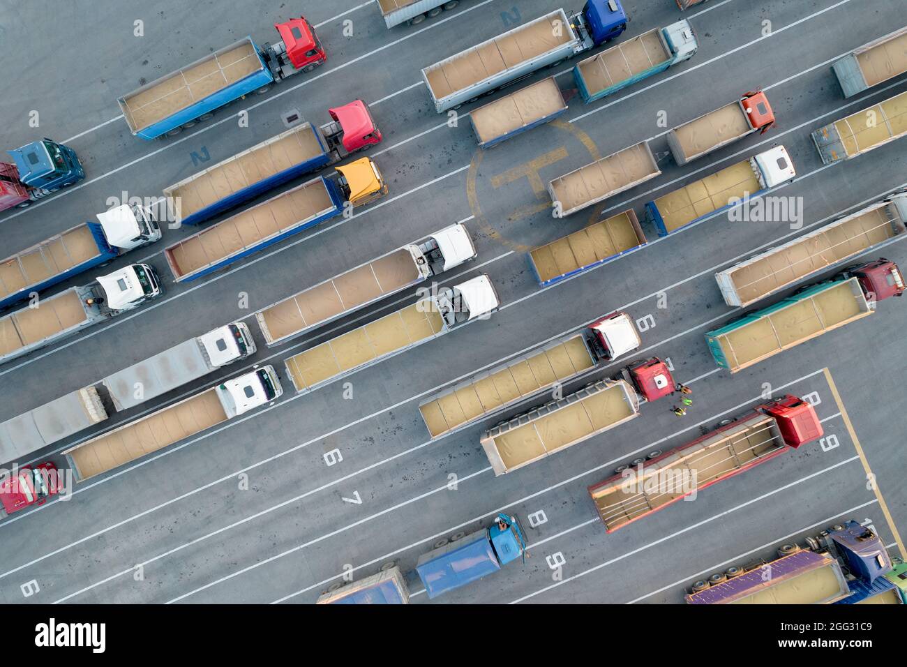 Vista dall'alto da un quadricottero su carrelli carichi di granella. Molti camion sono in attesa in fila per lo scarico nel porto. Concetto per logistica e fr Foto Stock