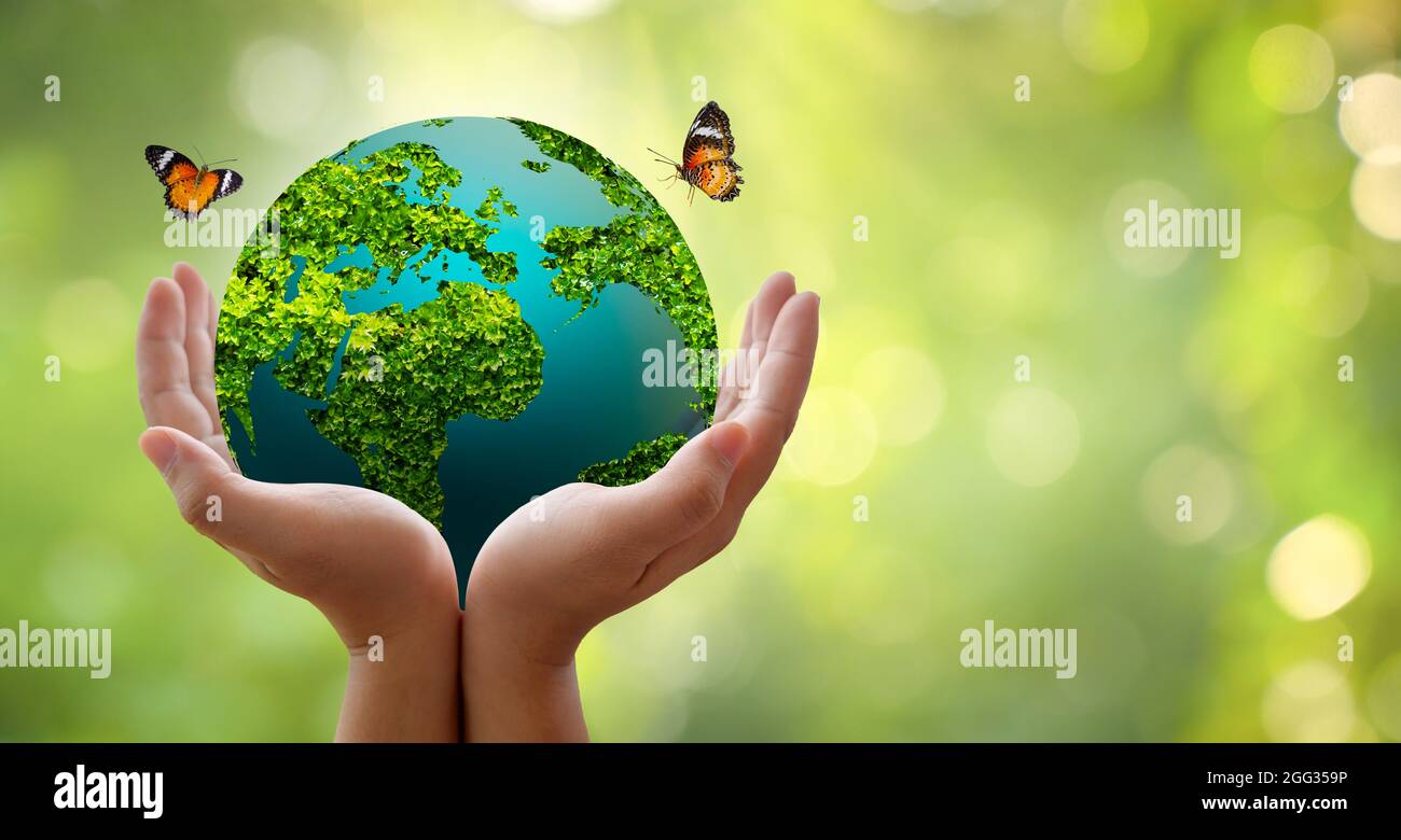 Concetto di salvare il mondo salvare Ambiente Il mondo è in erba del verde sfondo bokeh di fondo Foto Stock