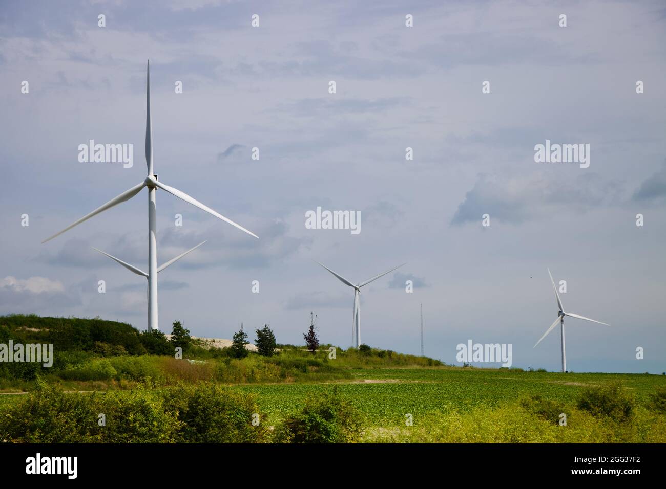 Turbine eoliche che riflettono il sole in una giornata nuvolosa in campi verdi rotolanti Foto Stock