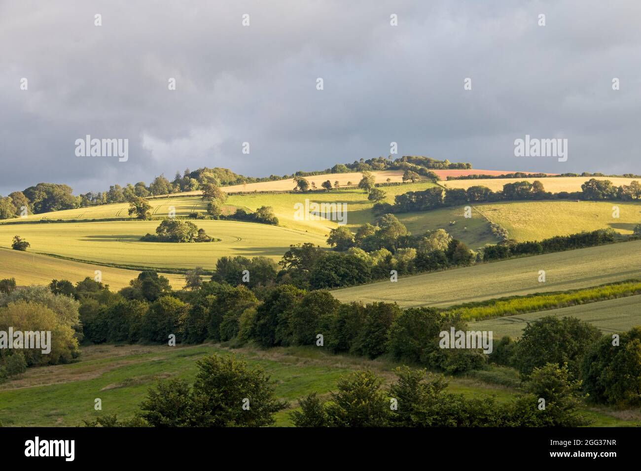 Una vista di terreni agricoli inglesi ondulati nella luce notturna di basso livello con un cielo grigio molto nuvoloso. Luce del sole sui campi. Foto Stock