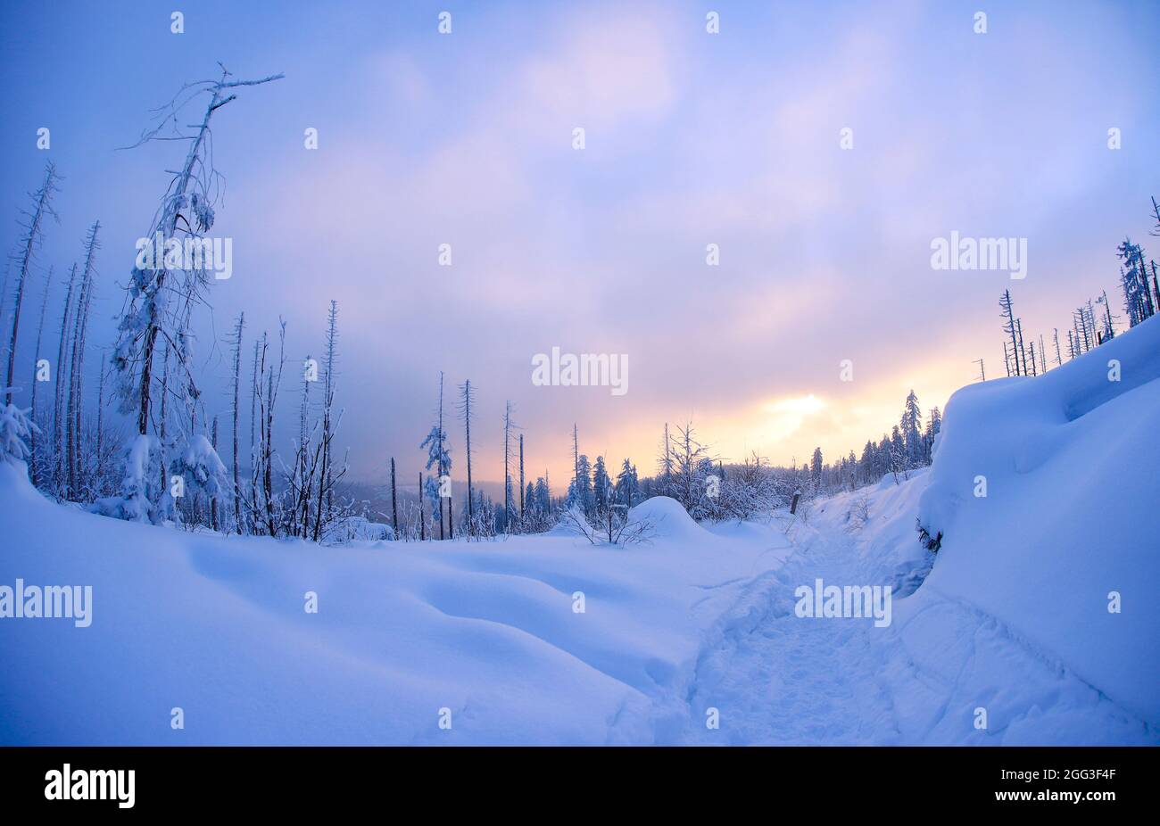 Montano coperto di neve in inverno Foto Stock