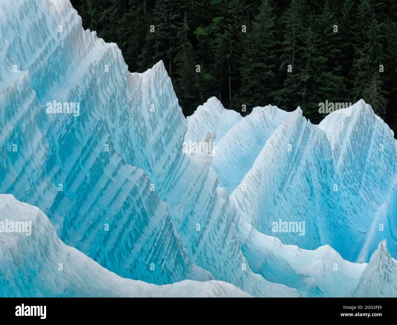 Iceberg dal ghiacciaio LeConte, Alaska, USA Foto Stock