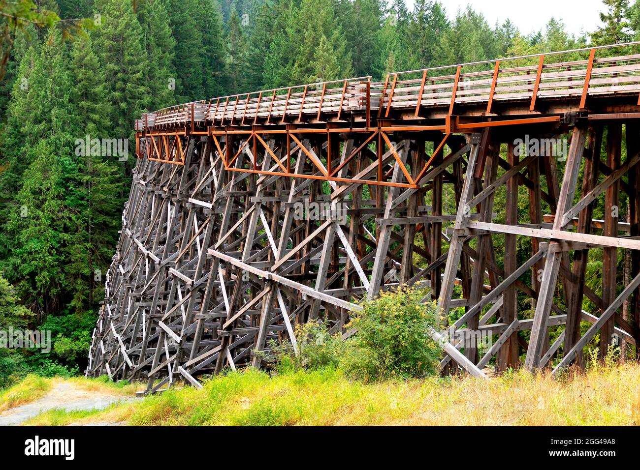 Ponte ferroviario di legno Kinsol Trestle a Vancouver Island, BC Canada.. British Columbia Canada. Foto Stock