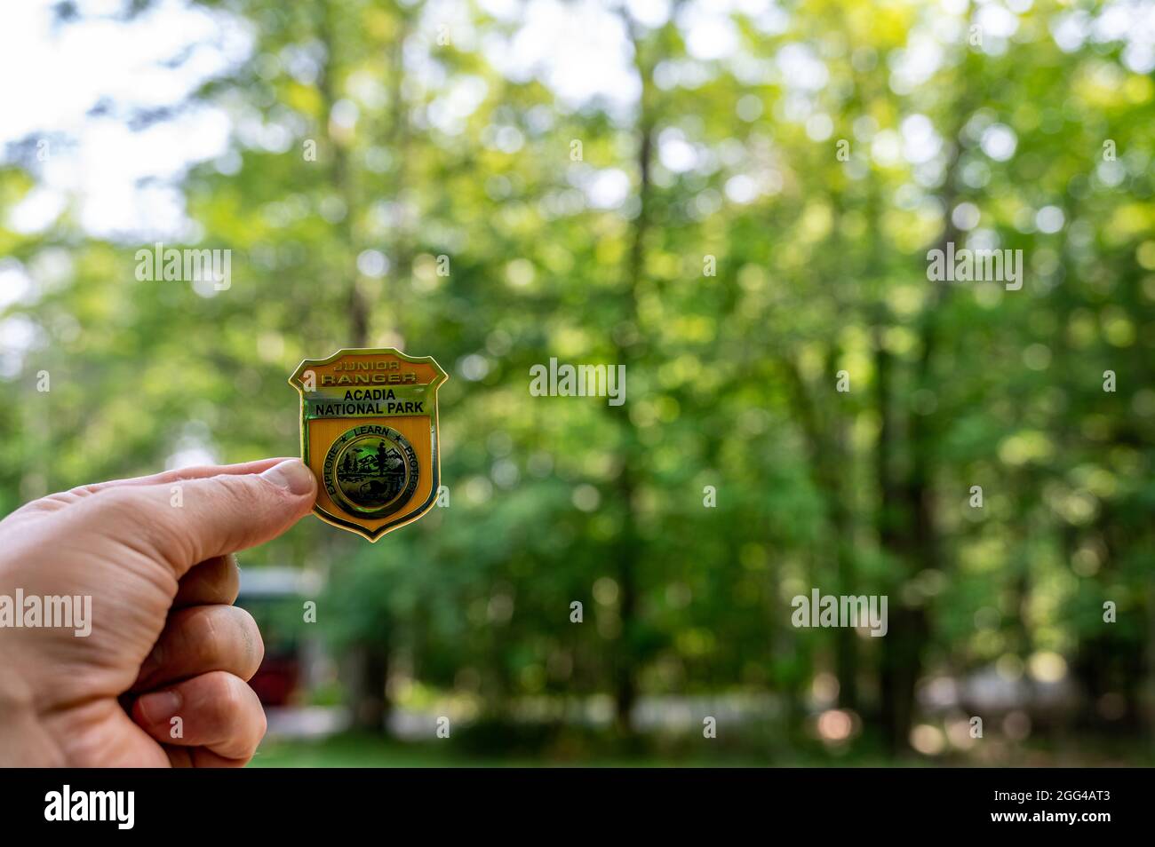 Acadia, Maine, Stati Uniti. 8-2021: Acadia National Park Junior Ranger pin tenuto contro uno sfondo verde foresta Foto Stock