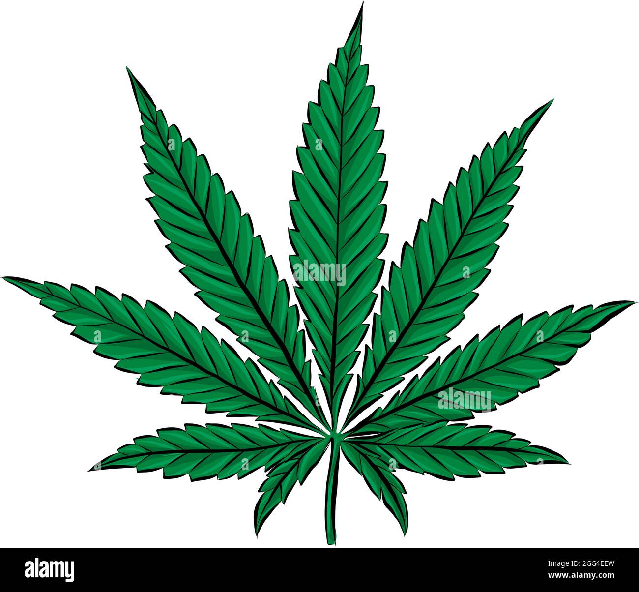 Foglie di marijuana Immagini senza sfondo e Foto Stock ritagliate - Alamy