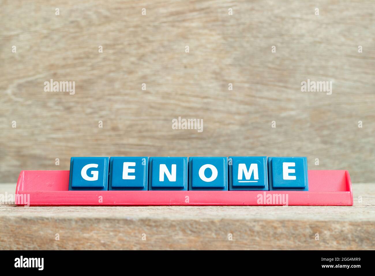 Maiuscola alfabeto con parola genoma in rack rosso su sfondo legno Foto Stock