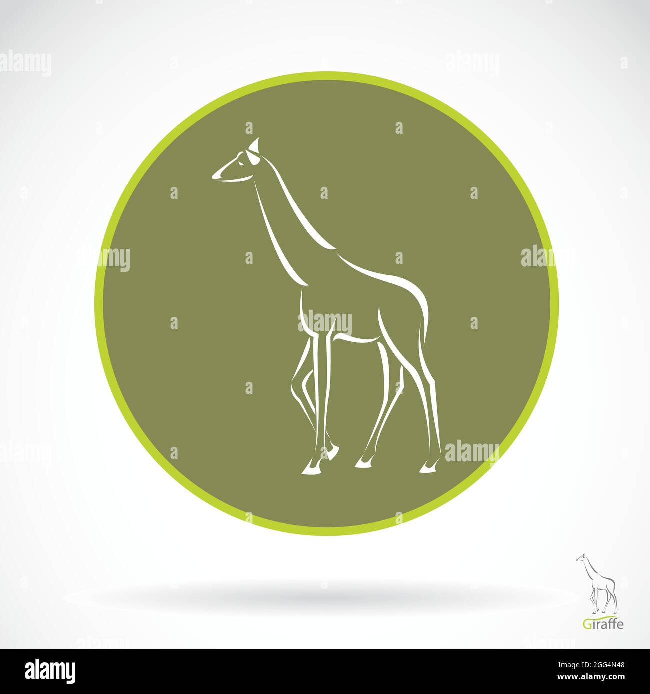 Immagine vettoriale di una giraffa , illustrazione - vettore. Illustrazione vettoriale a livelli facilmente modificabile. Animali selvatici. Illustrazione Vettoriale