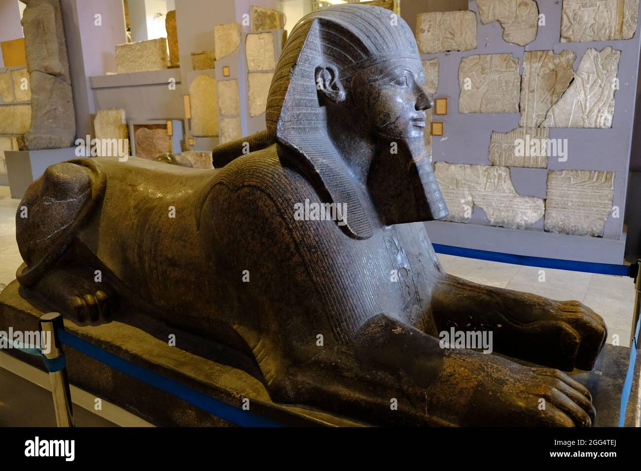Egitto Cairo - il Museo Egizio viso e corpo di uno statu sfinge egiziano Foto Stock