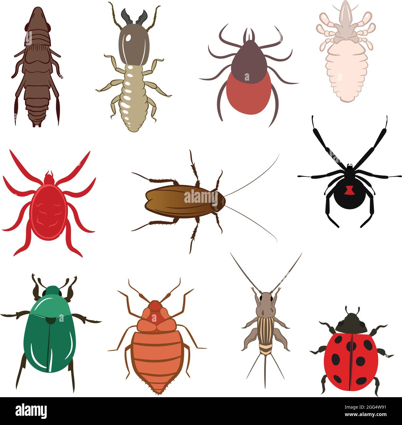 Big Set of Flea Lice Tick Termite Bedbug Cockroach Spider Ladybug Cricket Mite Beetle Vector Illustrazione riempire e contorno isolato su Backgroun bianco Illustrazione Vettoriale