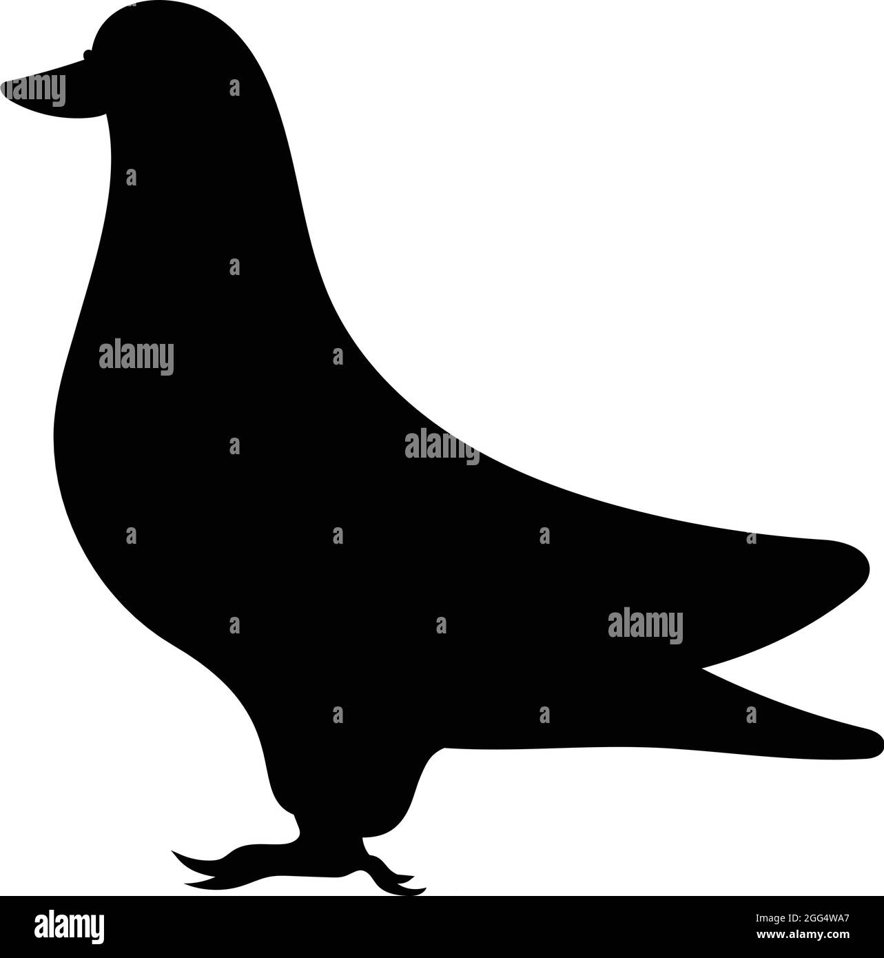 Pigeon in piedi. Silhouette di uccello nero contro sfondo bianco Nessun cielo. Vettore libero Illustrazione Vettoriale