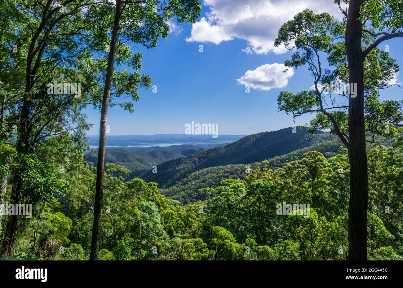 Vista dal Wivenhoe Lookout a Mount Glorious, Parco Nazionale D'Aguilar, Queensland Sud Est, Australia Foto Stock