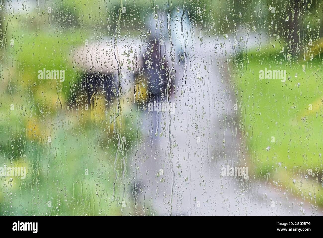 Acqua piovana su vetro. Foto Stock