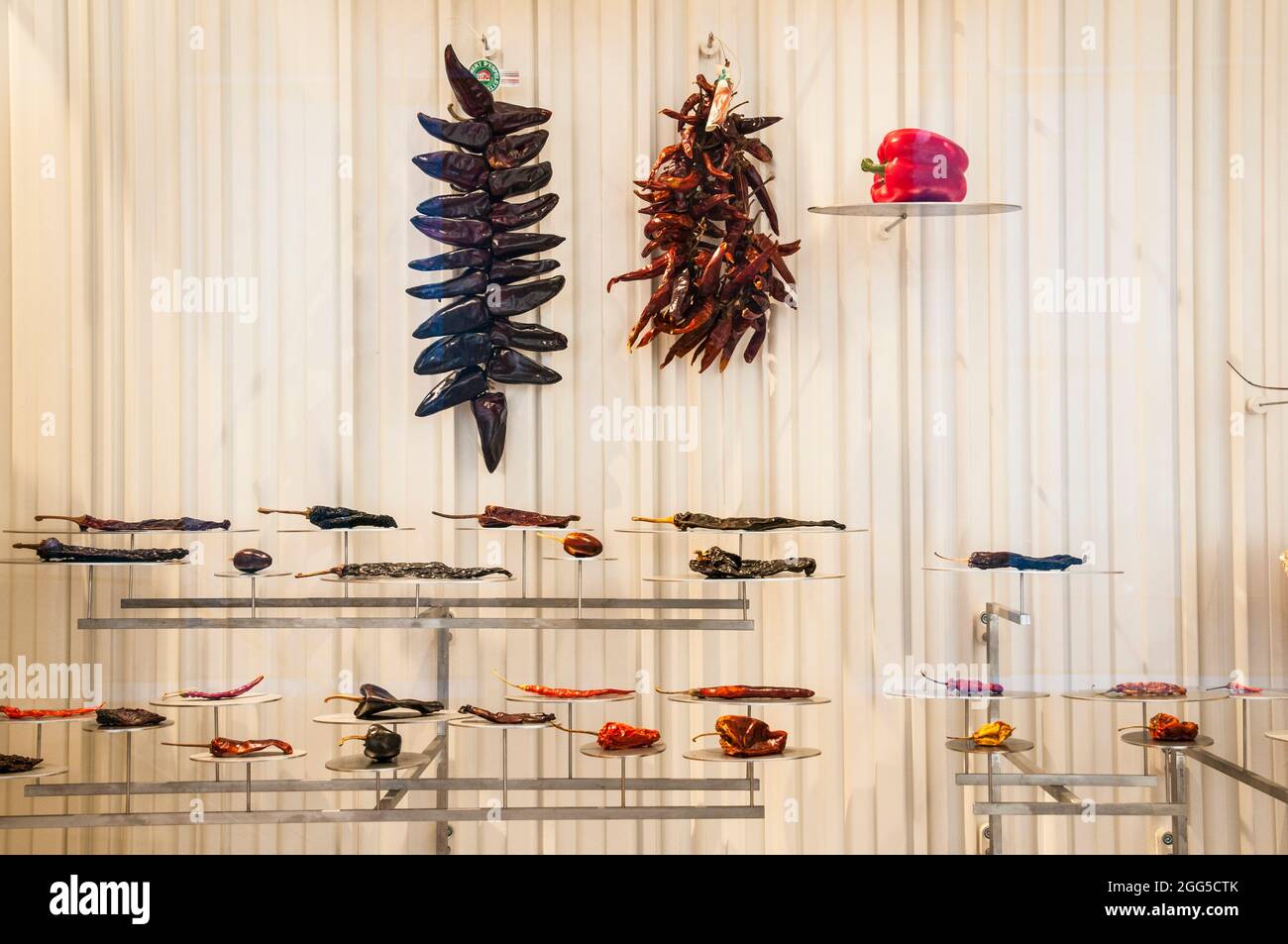 FRANCIA. PARIGI (75) IL 'MUSEE DE L'HOMME' (MUSEO DELL'UOMO), UNA DELLE ISTITUZIONI PIÙ ANTICHE DI PARIGI, CREATO NEL 1938 AL PALAIS DE CHAILLOT (CHIUSO Foto Stock