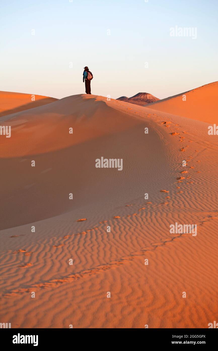 Dune di Erg Chebbi, Merzouga, Marocco Foto Stock