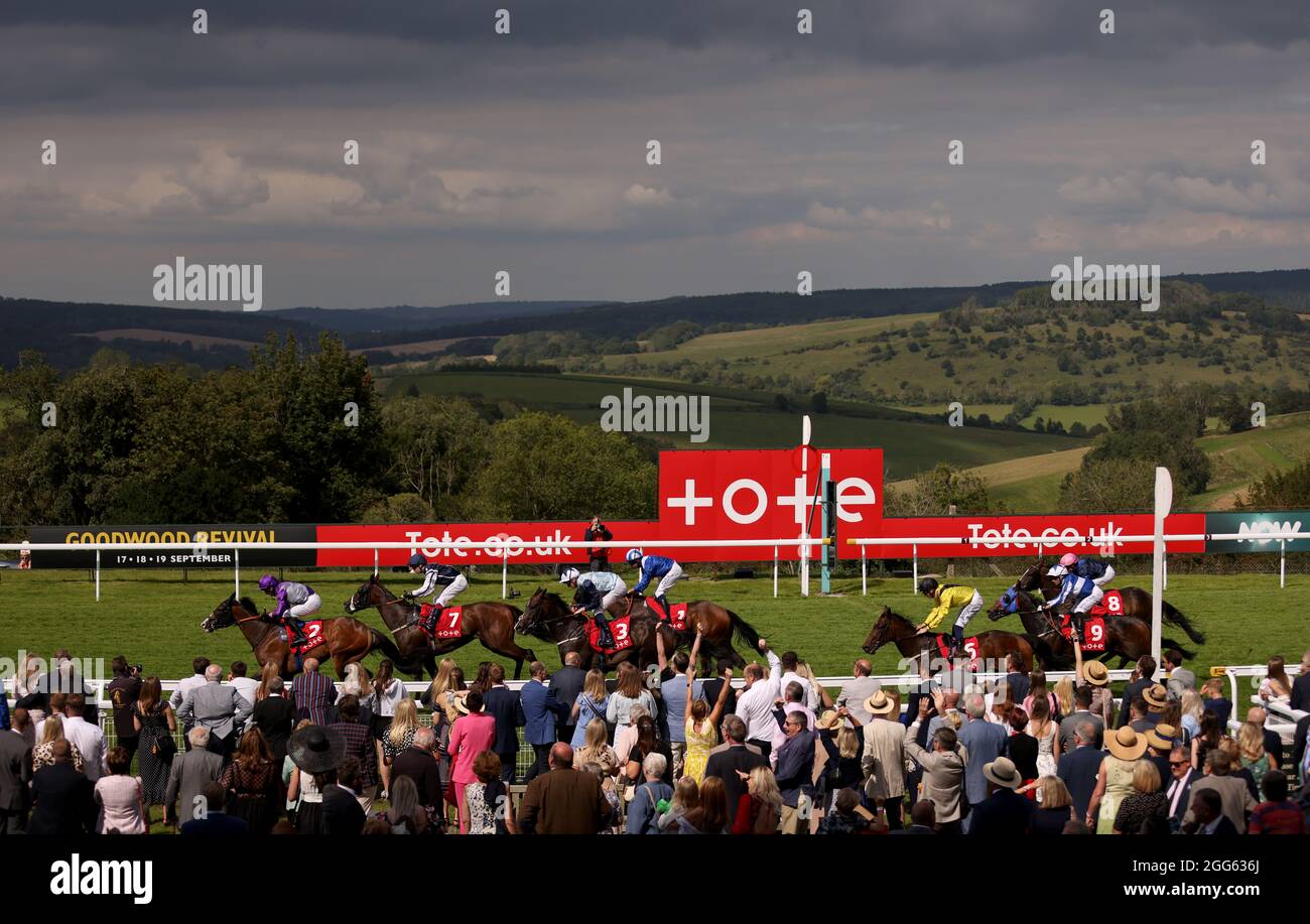 Il ragazzo di Atalanta, guidato da Thomas Greatrex, vince la handicap del tote.co.uk all'ippodromo Goodwood di Chichester. Data di emissione: Domenica 29 agosto 2021. Guarda la storia della Pennsylvania RACING Goodwood. Il credito fotografico dovrebbe essere: Steven Paston/PA Wire. RESTRIZIONI: L'uso è soggetto a restrizioni. Solo per uso editoriale, nessun uso commerciale senza previo consenso da parte del titolare dei diritti. Foto Stock