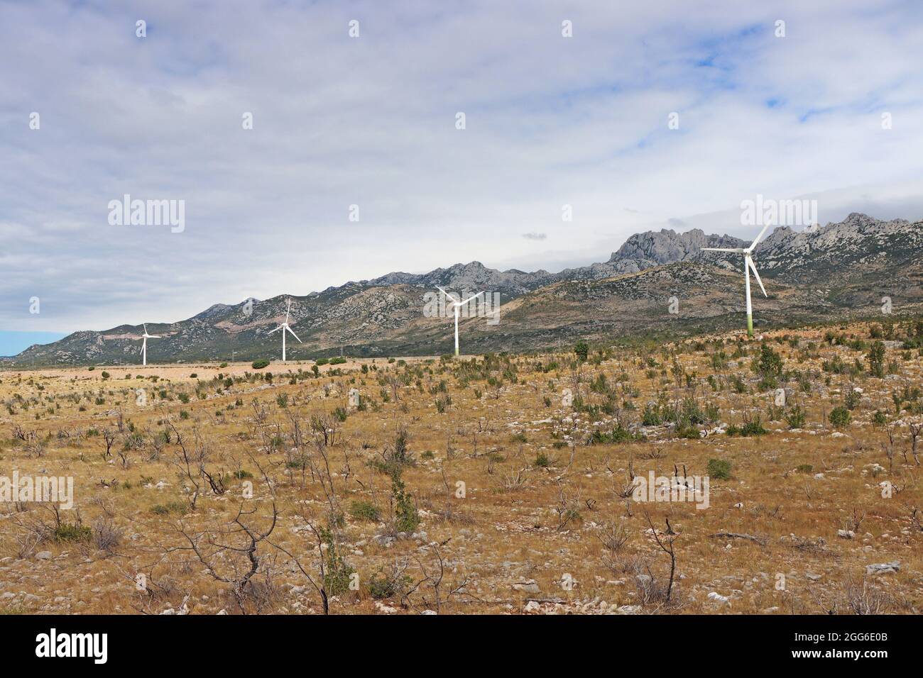 Turbine eoliche, parco eolico, vicino al carsico della regione di Velebit, zona ventosa della Croazia Foto Stock