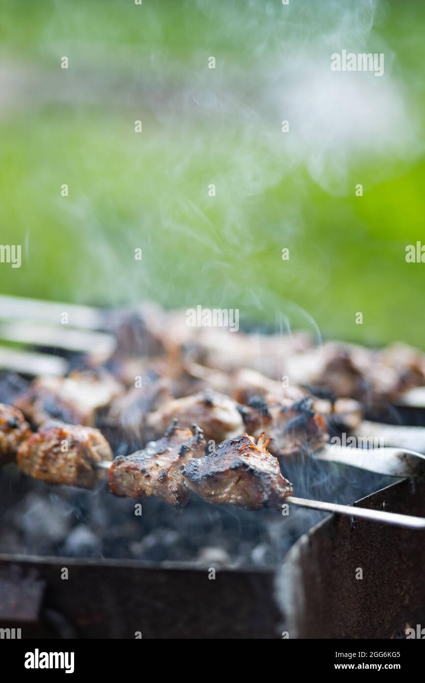 82 Pezzi Spiedini Acciaio Spiedini Spiedini Per Barbecue Spiedo - Foto 2