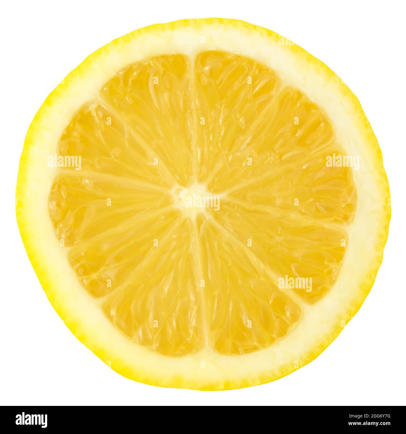 Un limone isolato a fette su uno sfondo bianco Foto Stock